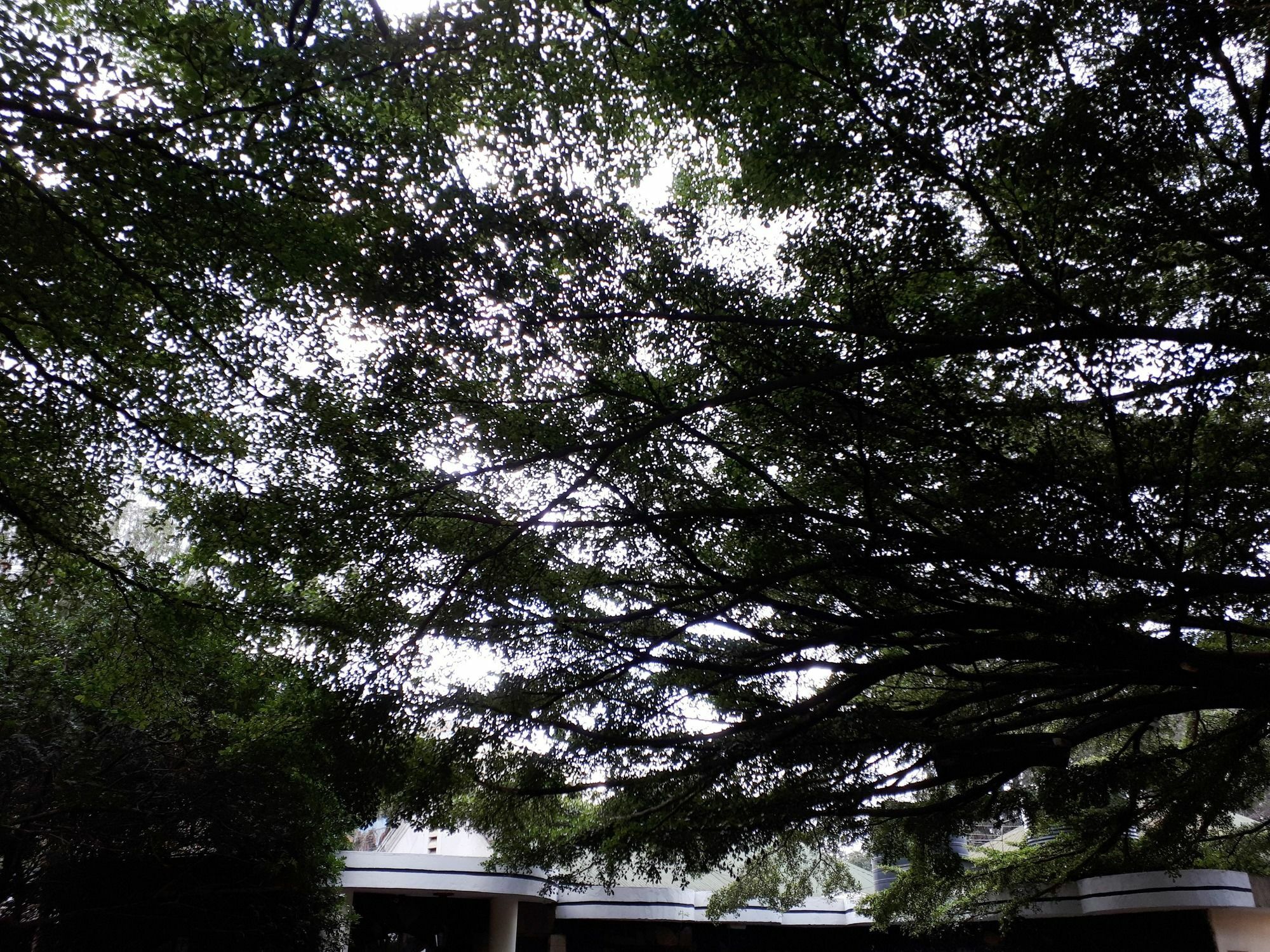 Bermuda Garden Hotel Nairobi Dış mekan fotoğraf