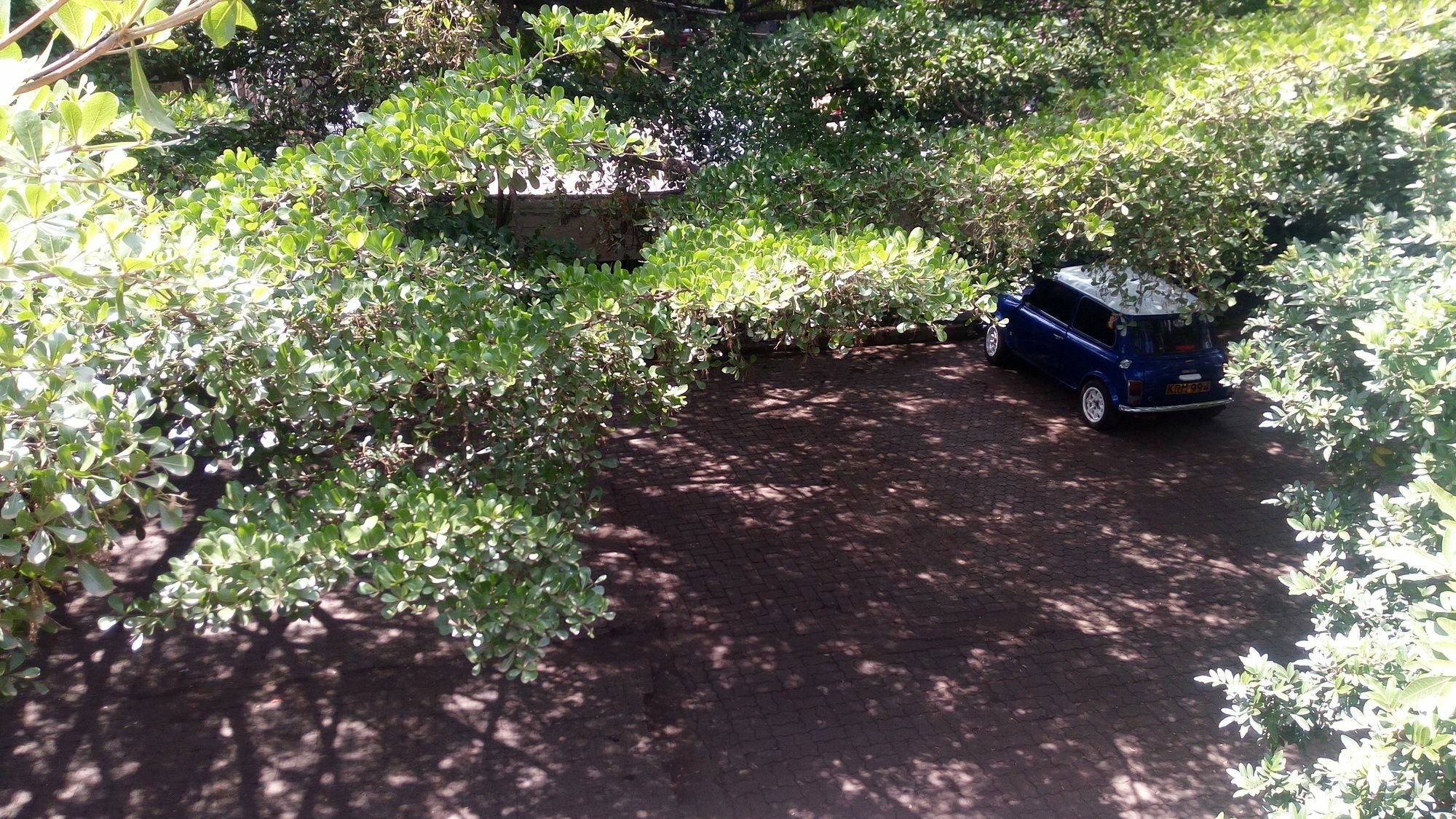 Bermuda Garden Hotel Nairobi Dış mekan fotoğraf